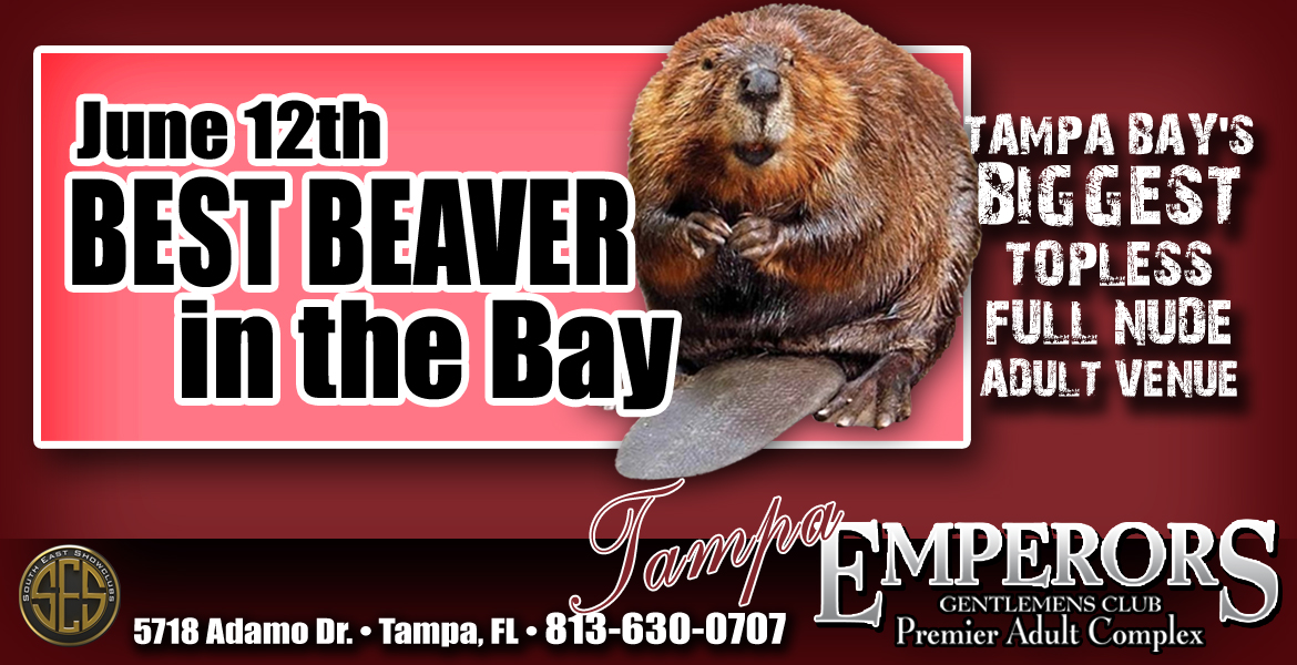 Best Beaver in the Bay
