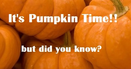 Shit We Should Know – It’s Pumpkin Time!!
