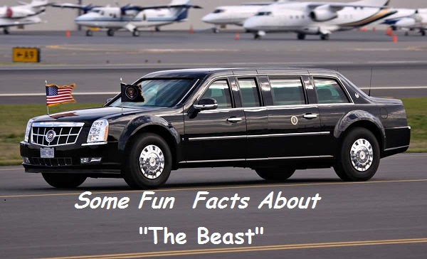 Fun Facts About “The Beast”